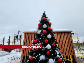 Детским праздником на катке откроют зимний сезон в Солнечногорске