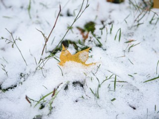 Наро-Фоминск стал самым заснеженным городским округом Подмосковья