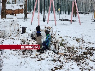 Снеговики, баннеры и флаги украсили «Городской парк» Каширы в День народного единства