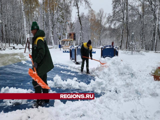 С раннего утра в каширских парках началась уборка территорий от выпавшего снега