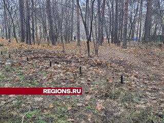 Администрация подтвердила, что городской парк Жуковского огородят забором