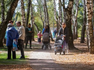 Свыше шести тысяч жителей и гостей Дмитрова побывали в парке «Березовая роща» на прошлой неделе