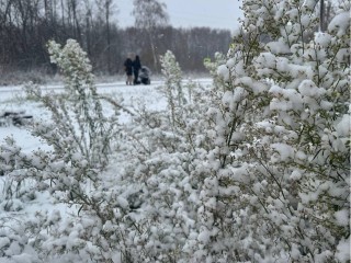 Снегопады придут в Волоколамск после потепления