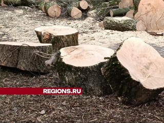 Аварийные деревья убрали в одном из дворов Лобни