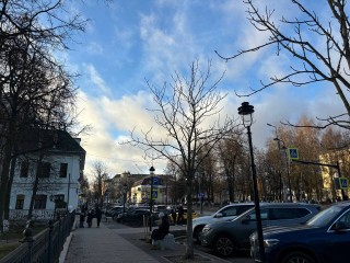 В понедельник в Звенигороде холодно, без осадков