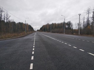 В деревне Кулаковка опилили аварийные деревья