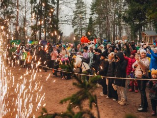 В Клину открыли лесопарк «Талицкий лес»