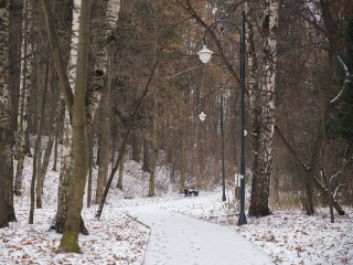 Возгораний не зафиксировано: в Московской области стабилизировалась обстановка в лесах