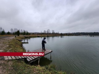 На рыбалке в Можайском округе можно поймать форель, карпа, щуку и осетра