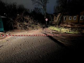 Линию электропередач восстанавливают в Зарайске из-за падения дерева