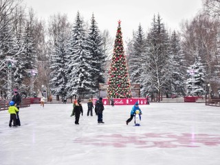 В Химках готовится к открытию самый популярный каток Подмосковья