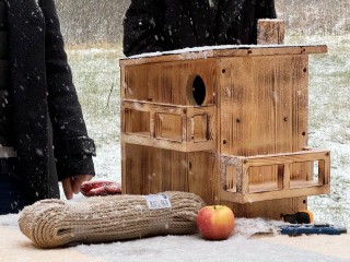 В лесопарке Сергиева Посада белок заселили в уютное жилье с запасом еды