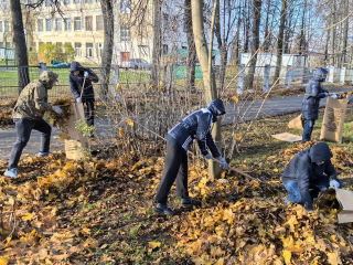 Накануне Дня народного единства электростальцы вышли на субботник