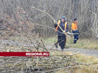 Кусты привели в порядок вдоль пешеходных дорожек в Рошале