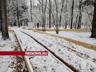 В Подушкинском лесопарке начато строительство входной группы