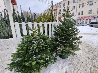 Новогоднее настроение для жителей Подмосковья станет дороже