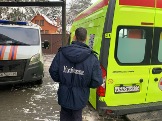 Пожарные помогли медикам перевезти пациентку с серьезной травмой в Чехове