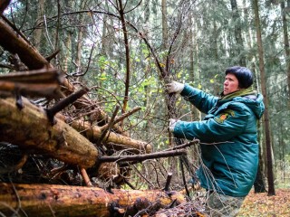 Каширяне смогут запастись дровами после субботника в березовой роще