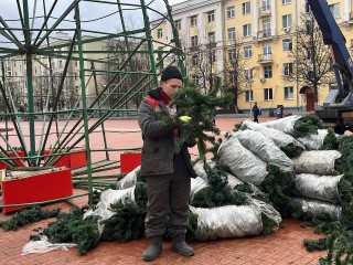 В центре Балашихи устанавливают новогоднюю елку