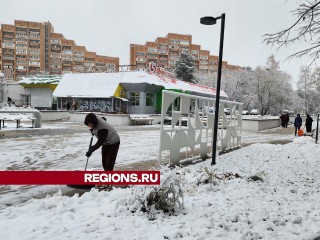 Камазисты, трактористы и дворники вышли на ликвидацию последствий снегопада в Протвине