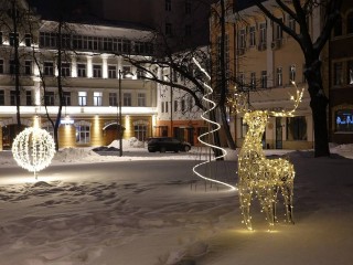 Аномальное тепло может испортить новогоднее настроение жителям Подмосковья