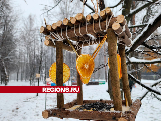 В парке Солнечногорска повесили 60 кормушек, чтобы горожане угощали для птиц