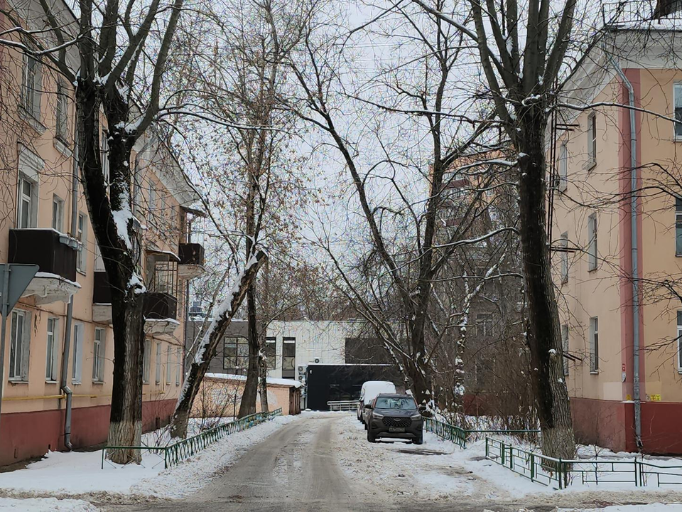 Жители Люберец предлагают провести санитарную обрезку деревьев на улице Кирова