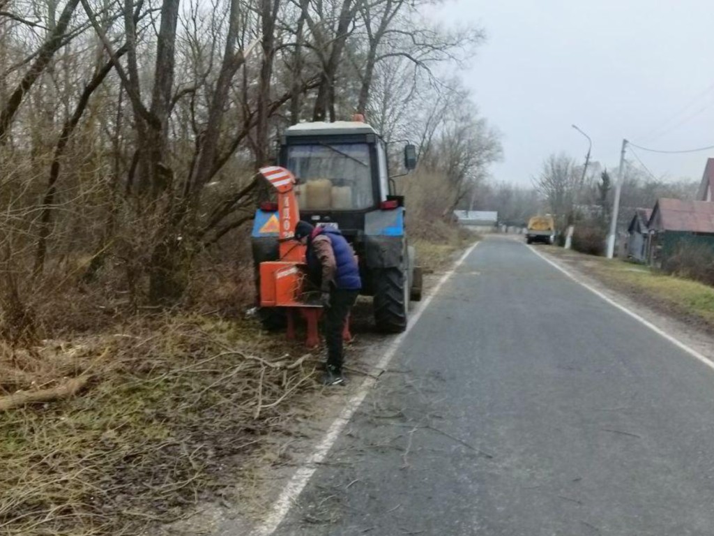 В селе Пышлицы опилили деревья и кустарники