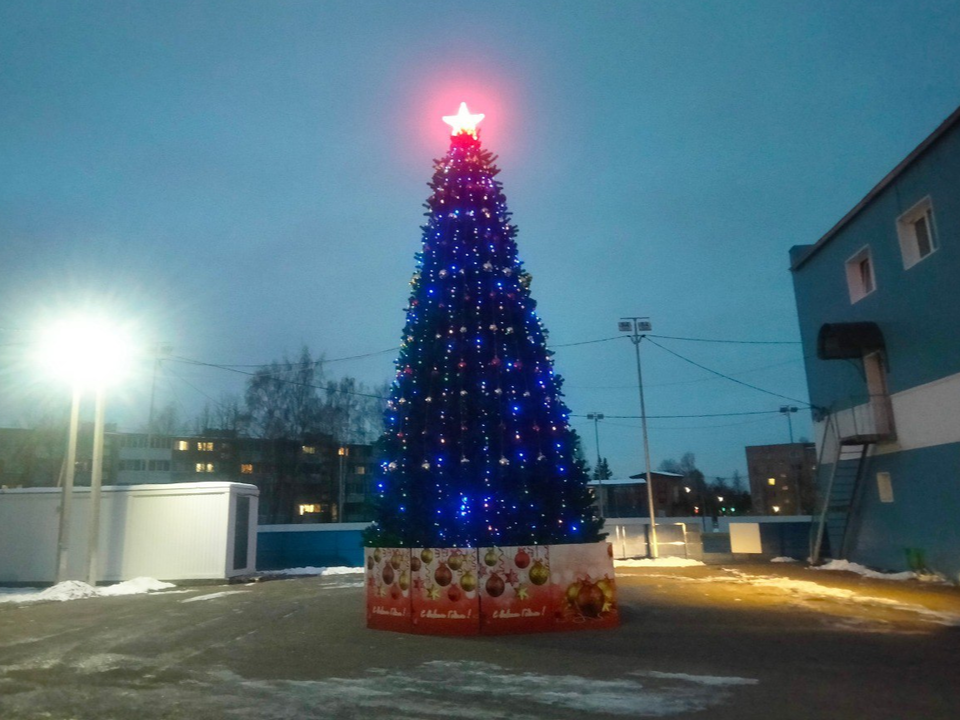 В поселке Кировский установили главную новогоднюю елку