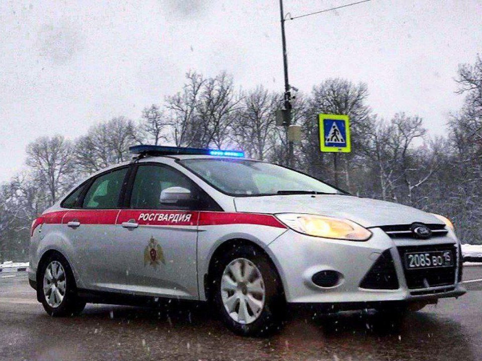 Воскресенские росгвардейцы задержали алковора