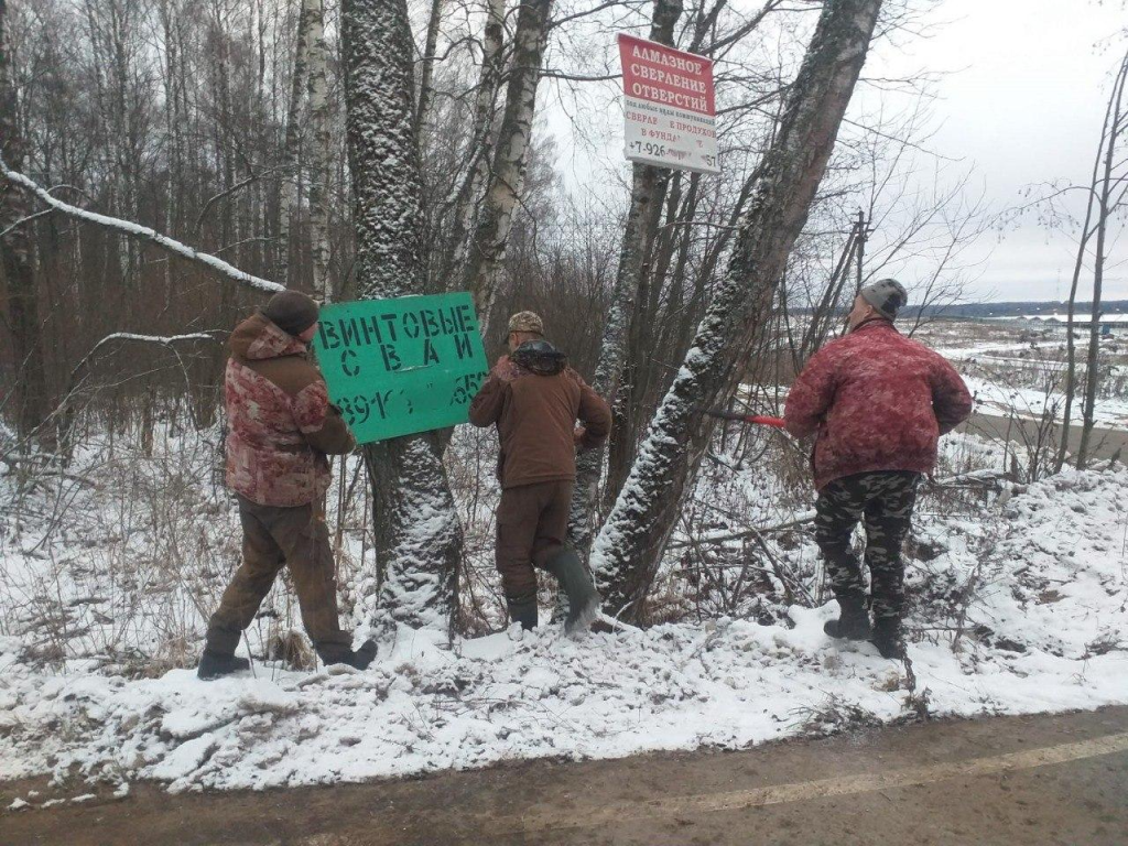 Лесники сняли с деревьев вблизи Суропцево почти 400 «грибковых» баннеров