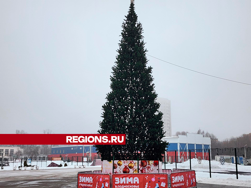 В Королеве на стадионе «Вымпел» установили 12-метровую елку