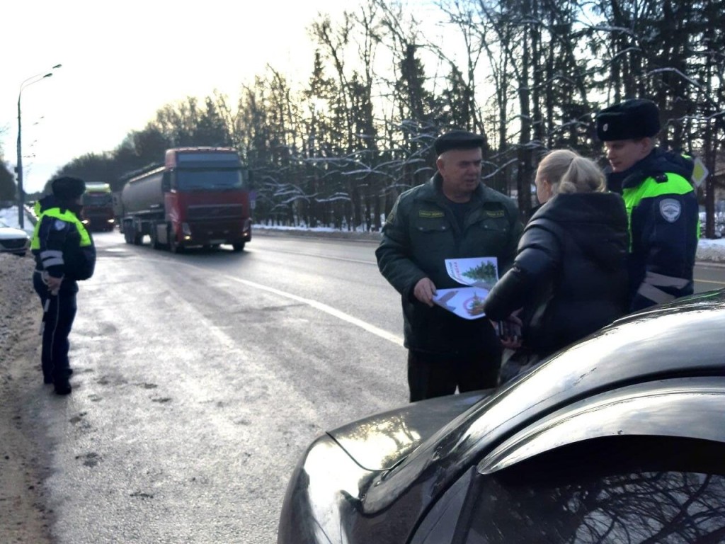 Где можно срубить новогоднюю ель и не получить штраф