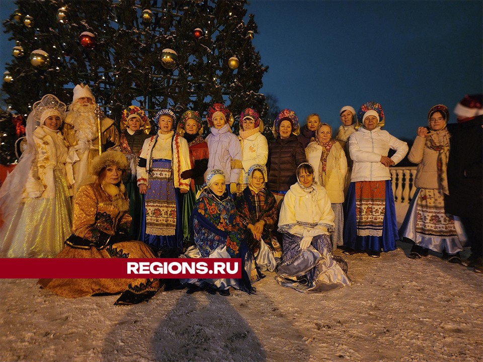 Хореографическое шоу открыло новогодний праздник в парке на улице Молодежной в Долгопрудном