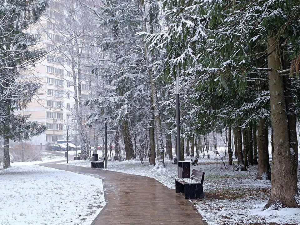 Московский регион завалит снегом на выходных