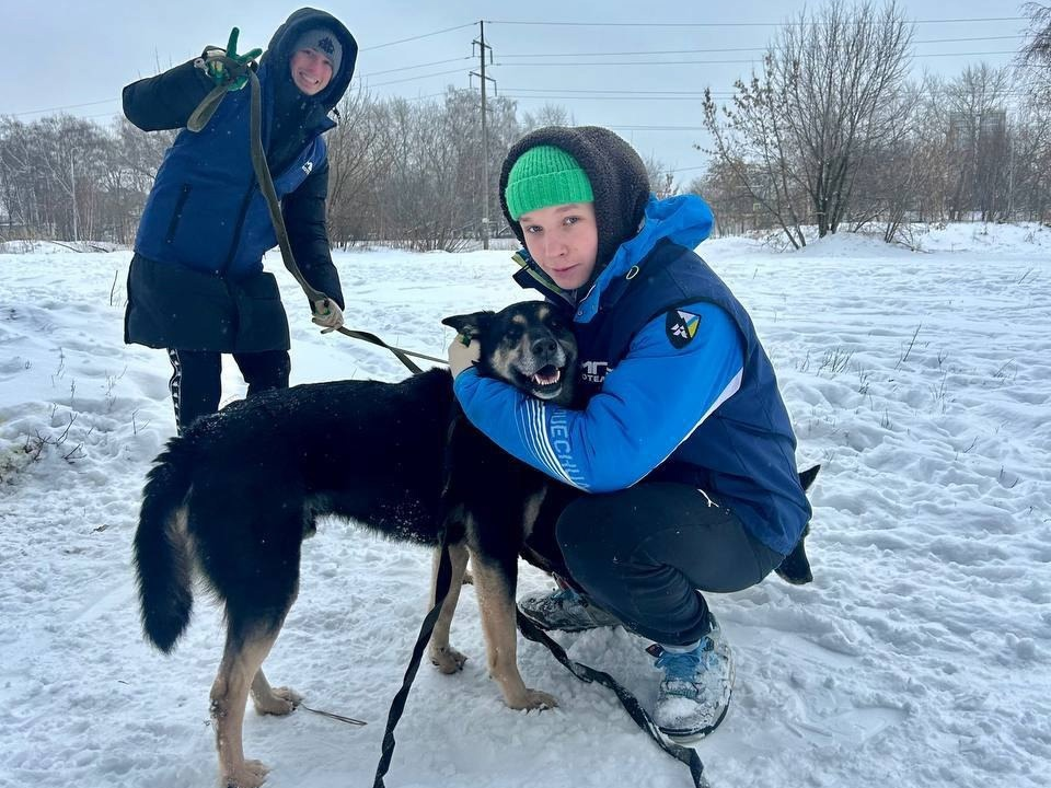 Волонтеры Котельников помогают приюту собак и кошек