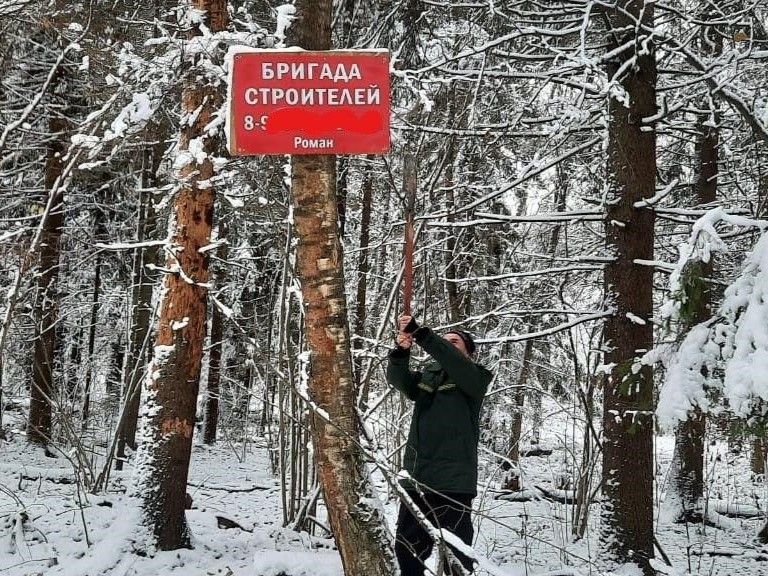 В Волоколамске лесничие очистили деревья от незаконной рекламы