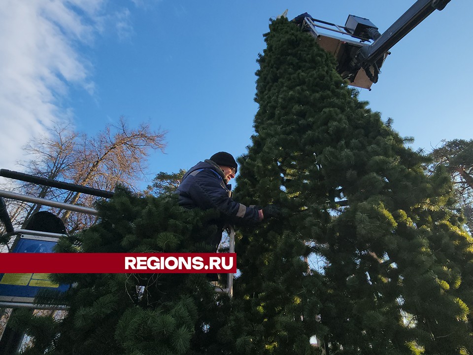 У Ногинского пруда в Серпухове поставили елку