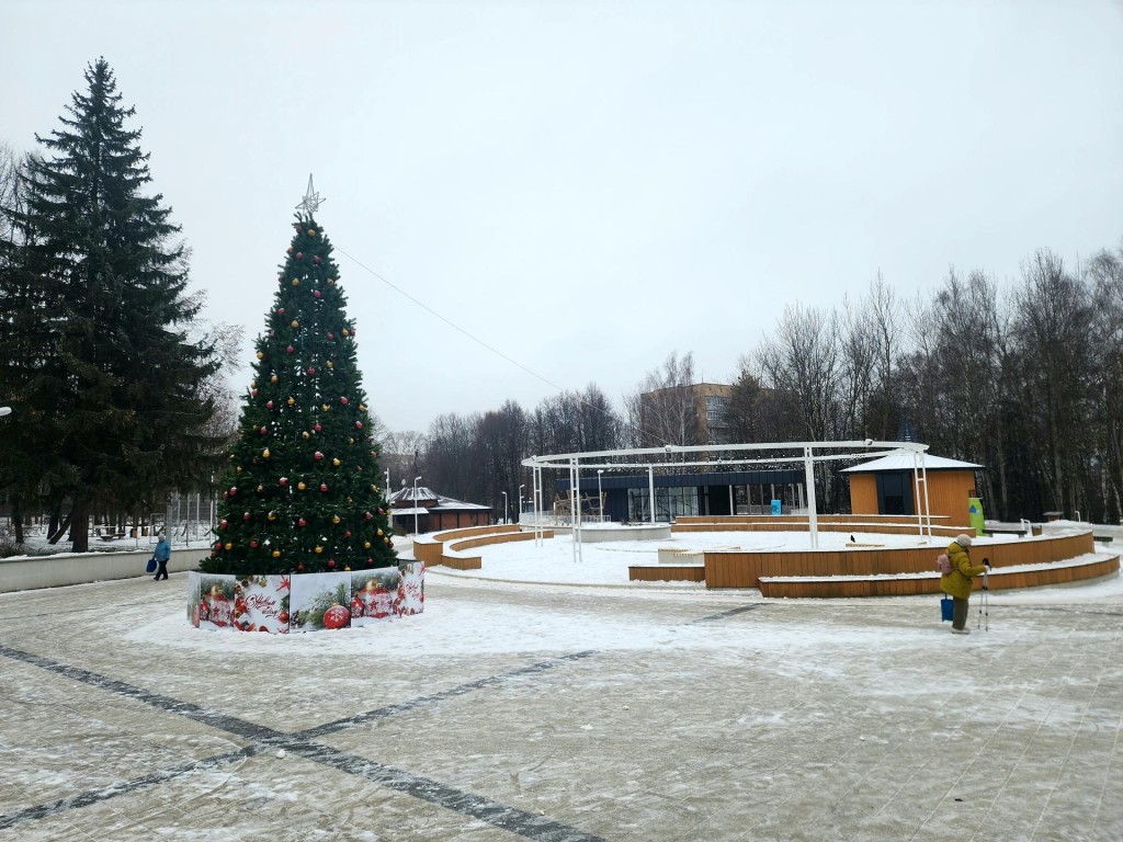 На «Таблетке» в Пущине впервые установили новогоднюю ель