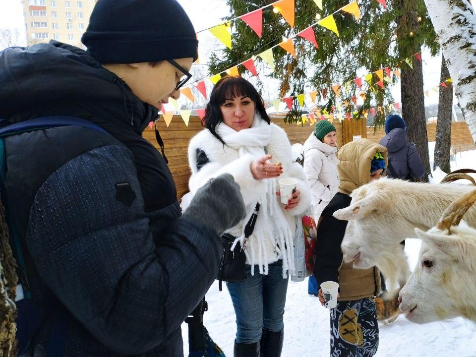 Дети из Ивантеевки пообщались с козами и сделали ангела в экопарке в Пушкино