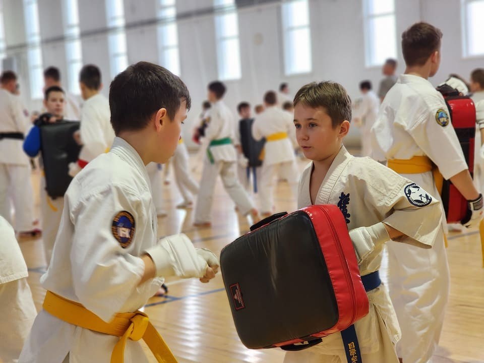 Воскресенские каратисты стали лучшими на всероссийском турнире