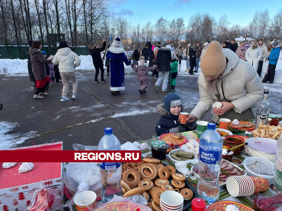 Ветеринары Дмитрова переоделись в сказочных персонажей и подарили новогодний спектакль своим детям