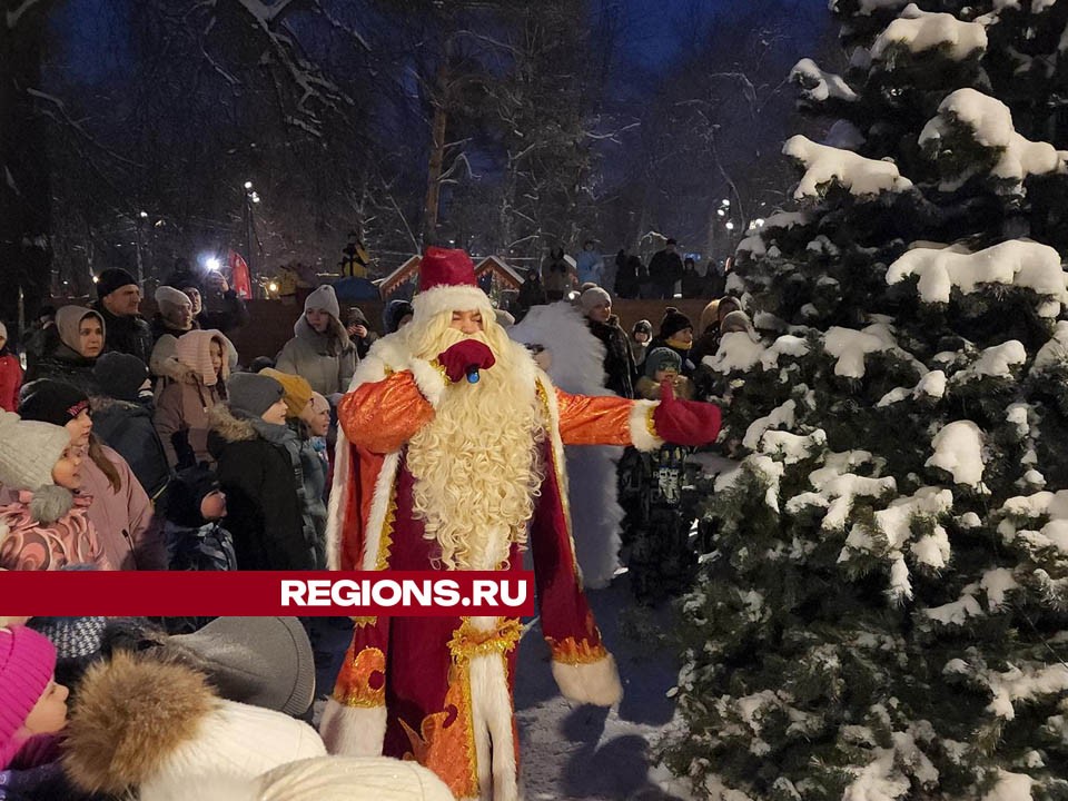 В Свердловском парке Лосино-Петровского зажгли огни на новогодней елке