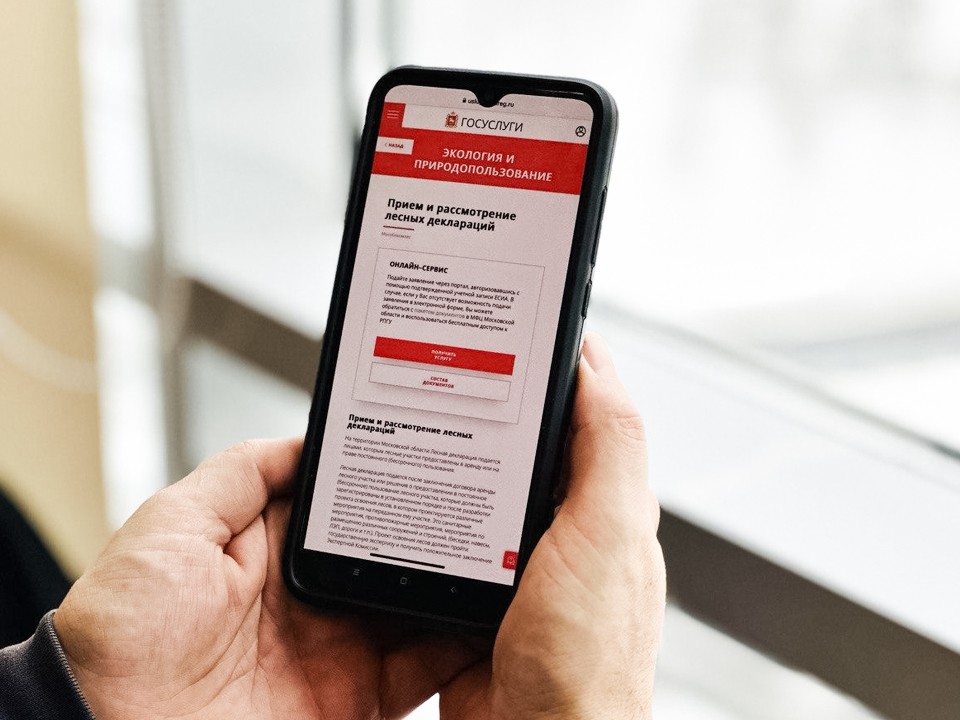 На портале госуслуг Подмосковья доступны семь новых услуг Комлесхоза