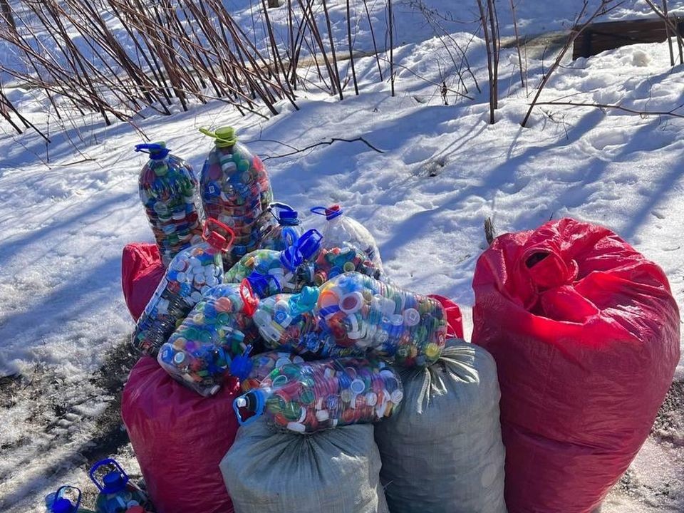 В подмосковных городах пройдет масштабный сбор вторсырья