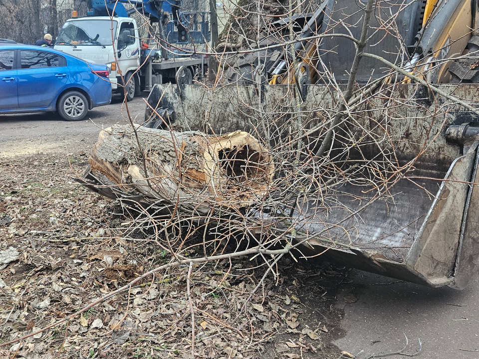 Во дворах на улицах Фрунзе, Мясищева и Калугина уберут мусор и вывезут спиленные ветки