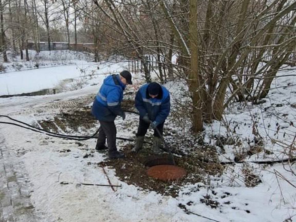 Минэкологии проверит состояние воды в Чехове после разлива канализации в пруды