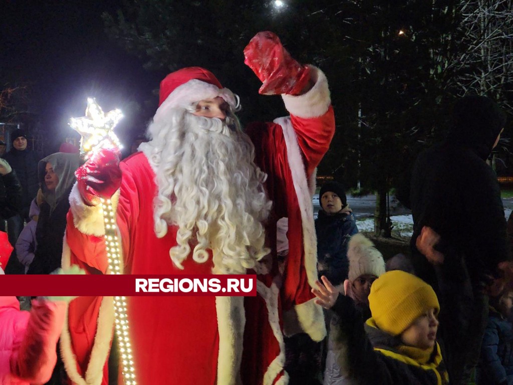 Огни на новогодней елке зажгли в михневском парке