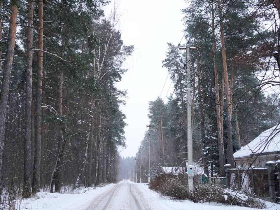 В лесу возле поселка Александровка убрали поврежденные и сухие деревья