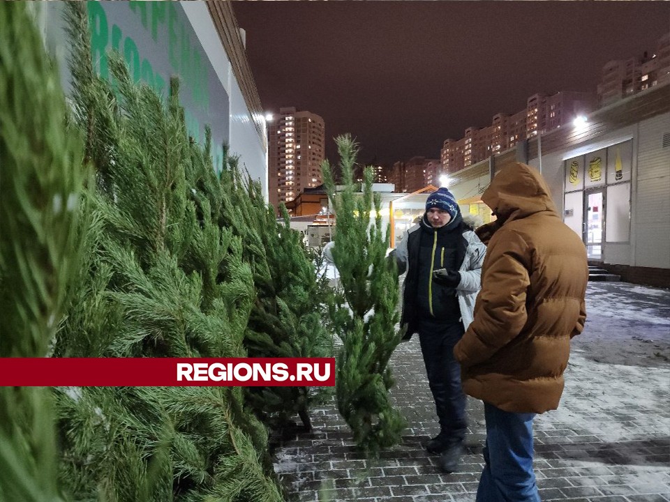 На елочных базарах в Подольске можно выбрать новогоднее дерево по душе